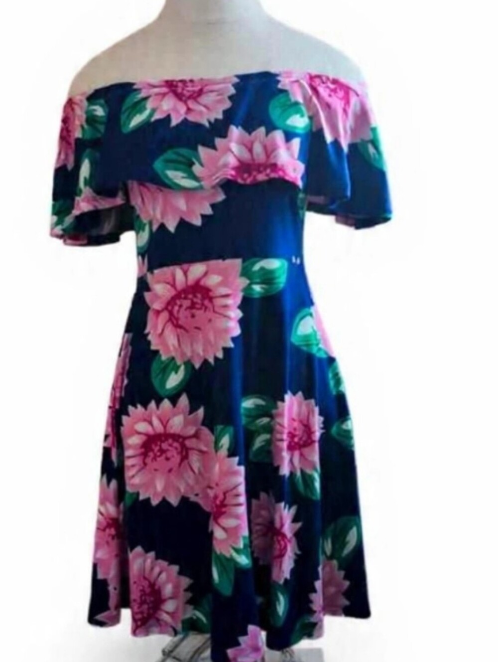 Medium-Large Off-Shoulder Floral Swing Dress - Navy & Pink🧚
